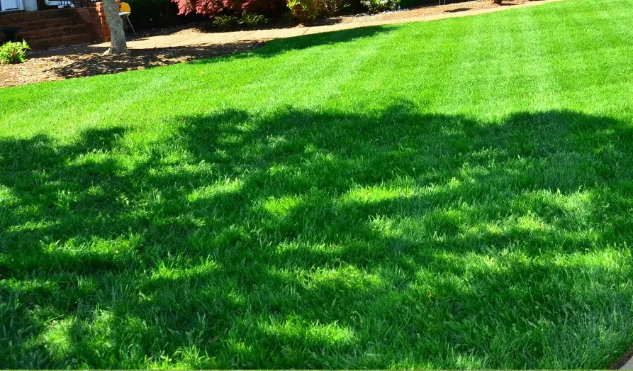 Gartenpflege
